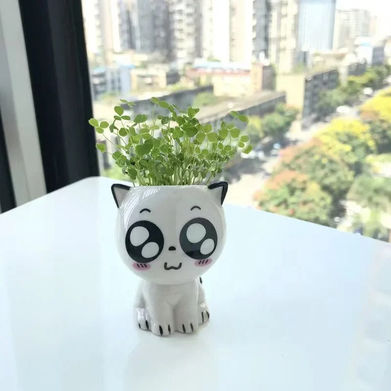 cache pot ceramique expression 2