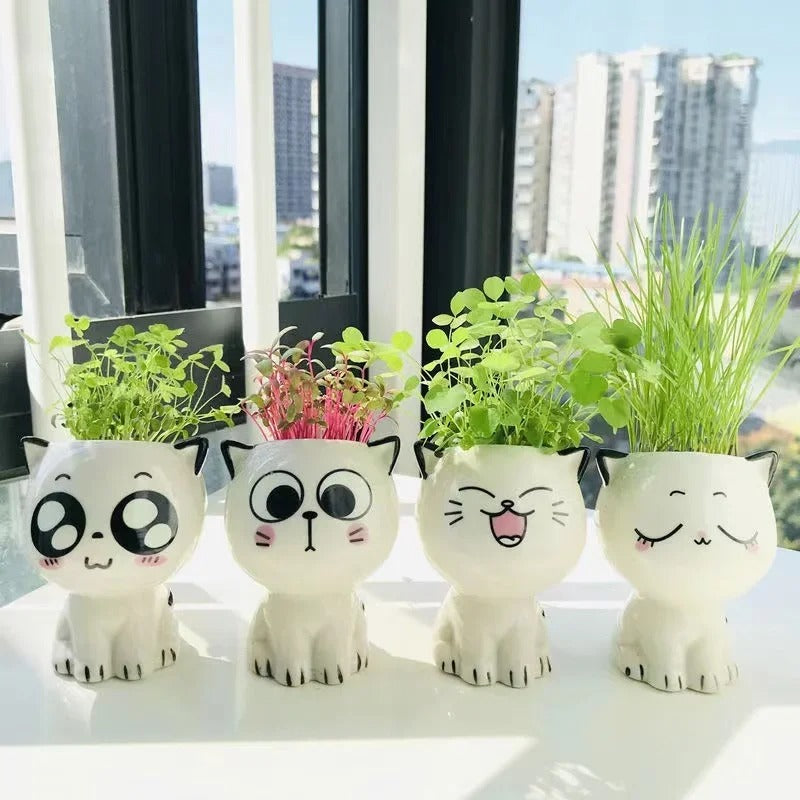 cache pot ceramique mignon