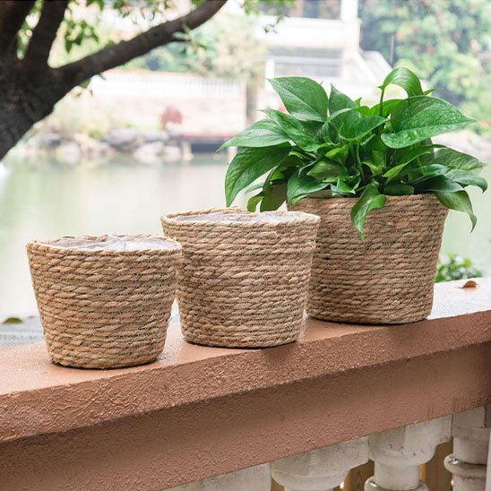 Cache pot format adaptable